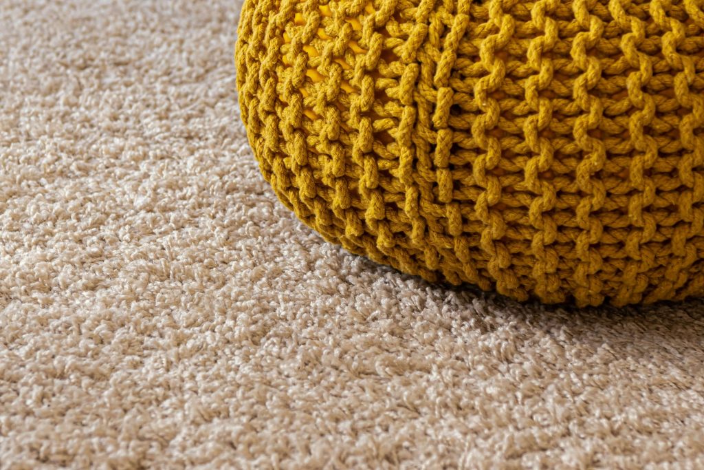 How to Remove Urine From Your Carpet
